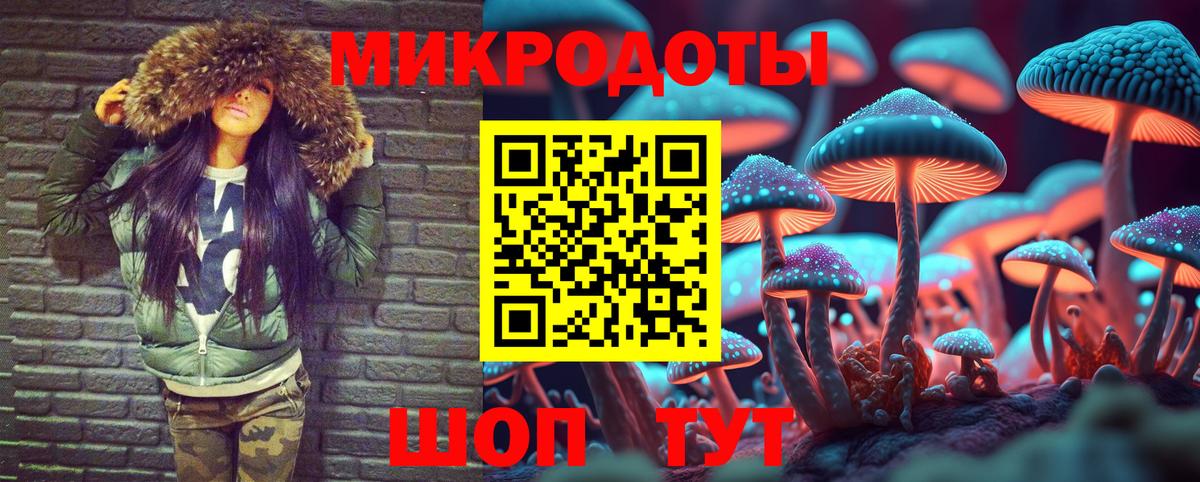 Псилоцибиновые грибы Psilocybe  Вход с VPN  Ялта  Псилоцибиновые грибы мухоморы 