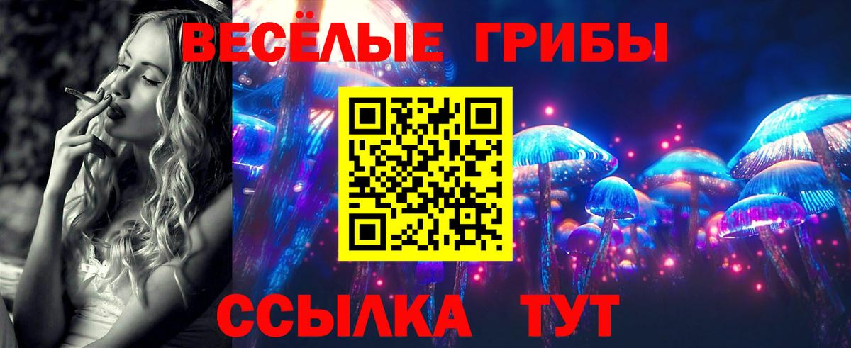 Псилоцибиновые грибы мицелий Ялта